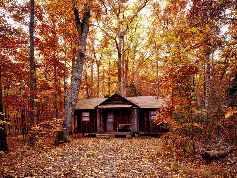 A cabin surrounded by trees in the fall