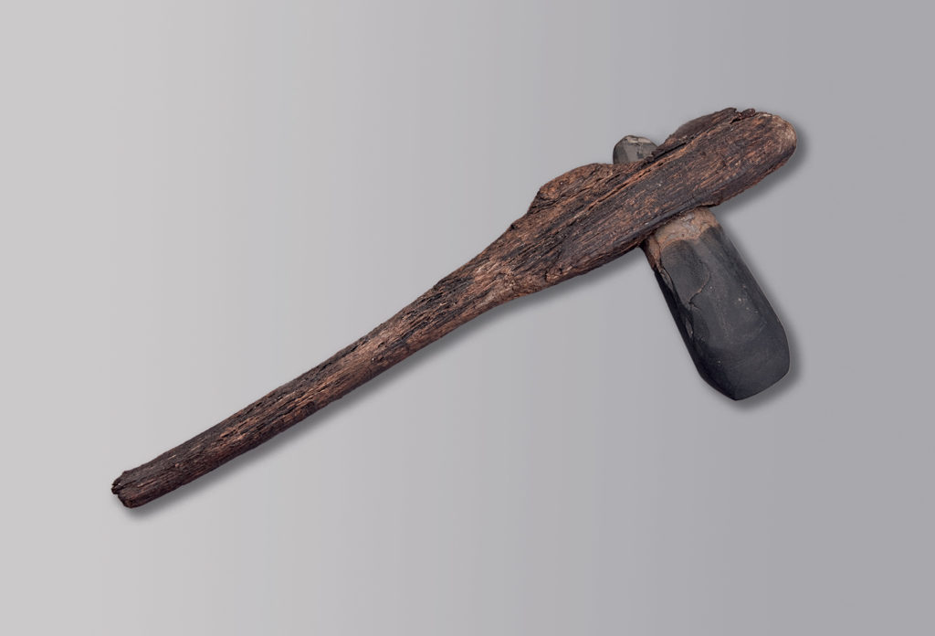 A smooth, stone celt mounted on a wooden shaft